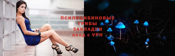 метадон Вяземский