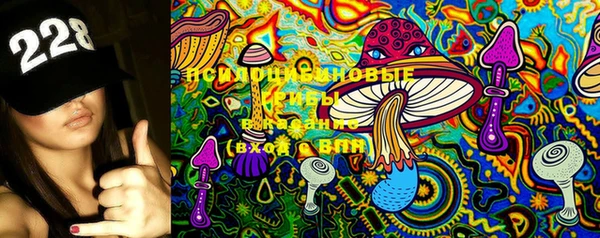 метадон Вяземский