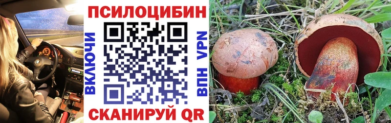 Купить закладки  Спас-Клепики  Галлюциногенные грибы мицелий 